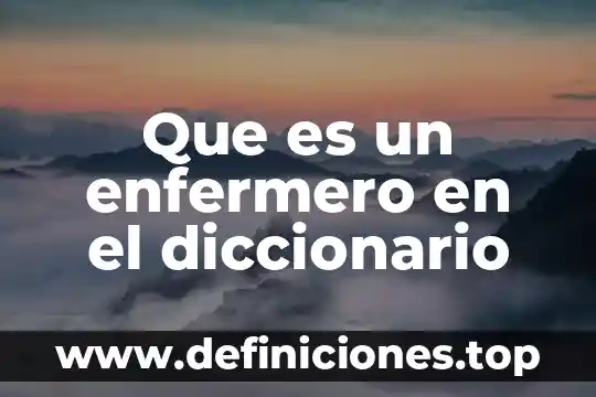 Que es el proceso enfermero 5 Que es un enfermero en el diccionario