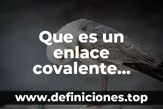 Que es enlace covalente definicion 8 Que es un enlace covalente doble ejemplos