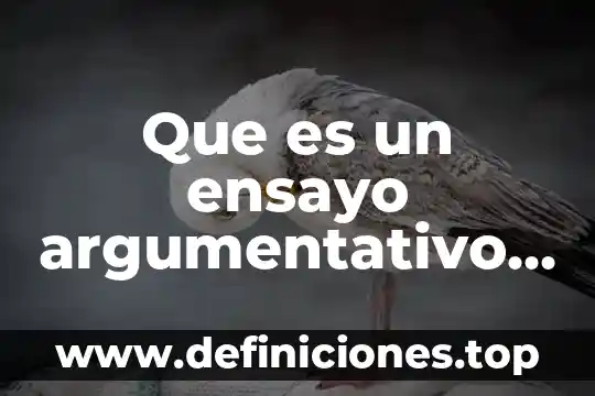 Que es un ensayo argumentativo concepto
