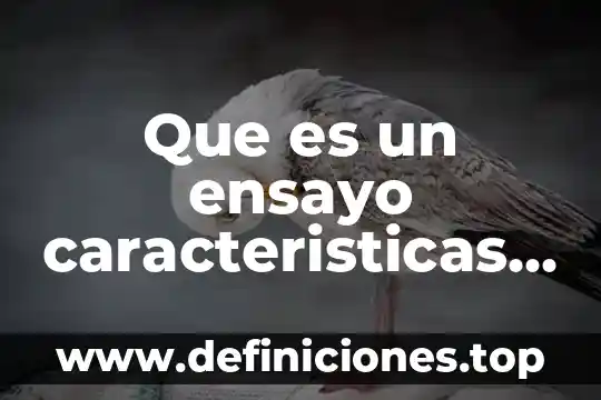 Que es un ensayo caracteristicas y elementos