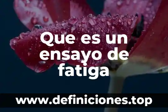 Que es un ensayo de fatiga
