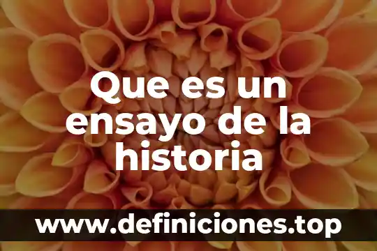 Que es un ensayo de la historia
