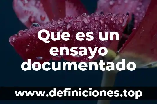 Qué es un ensayo interpretativo 5 Que es un ensayo documentado