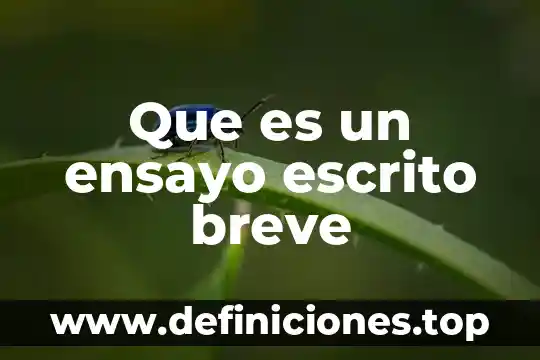 Que es un ensayo escrito breve