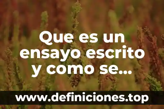 Que es un ensayo escrito y como se realiza