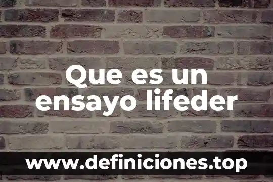 Que es un ensayo lifeder
