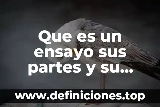 Que es un ensayo sus partes y su clasificacion