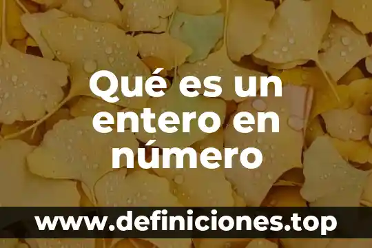 Qué es un entero en número