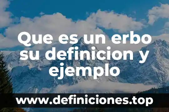 Que es un erbo su definicion y ejemplo
