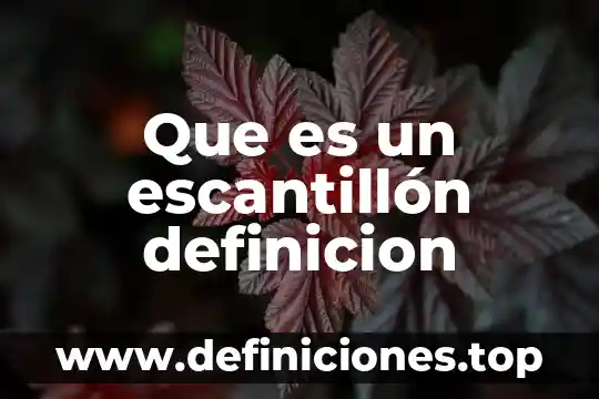 Que es un escantillón definicion