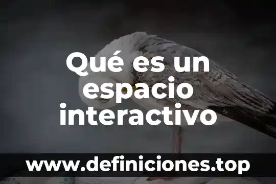 Qué es el modelo interactivo de lectura 3 Qué es un espacio interactivo