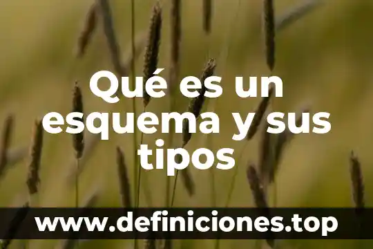 Esquema de que es investigar 3 Qué es un esquema y sus tipos