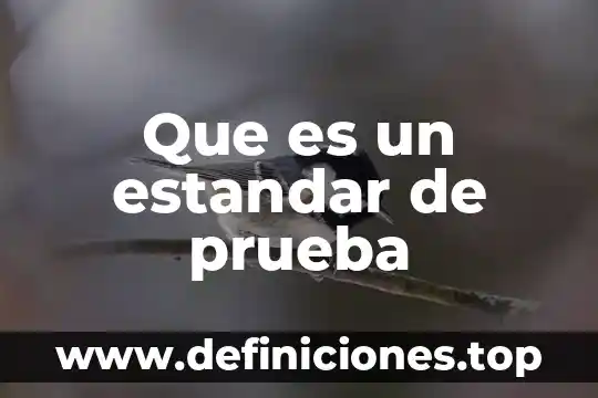 Que es la prueba snell de cascos 7 Que es un estandar de prueba