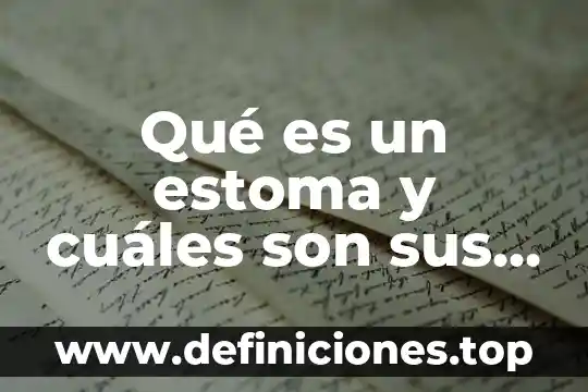 Qué es un estoma y cuáles son sus partes