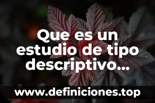 Qué es la educación transversal 4 Que es un estudio de tipo descriptivo transversal