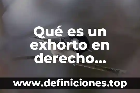 Gesti贸n laboral que es 5 Qu茅 es un exhorto en derecho laboral