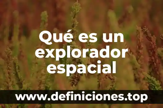 Qué es un informe científico cuáles son las partes 4 Qué es un explorador espacial