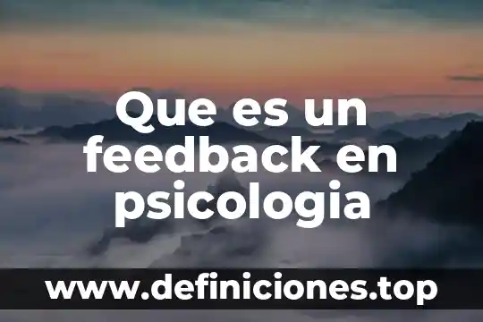 Que es un feedback en psicologia