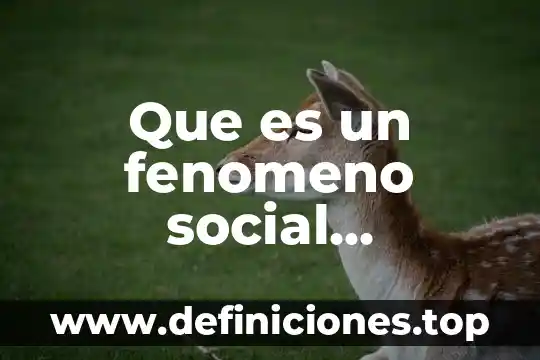 Que es un fenomeno social educativo