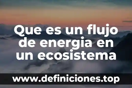 Ecosistema que es y para que sirve 6 Que es un flujo de energia en un ecosistema