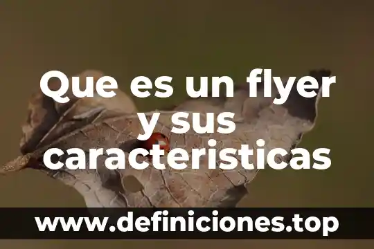 Que es un flyer y sus caracteristicas
