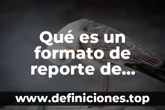 Qué es un formato de reporte de lectura