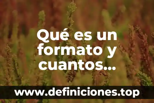 Qué es un formato y cuantos existen