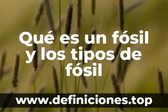 Qué es un fósil y los tipos de fósil