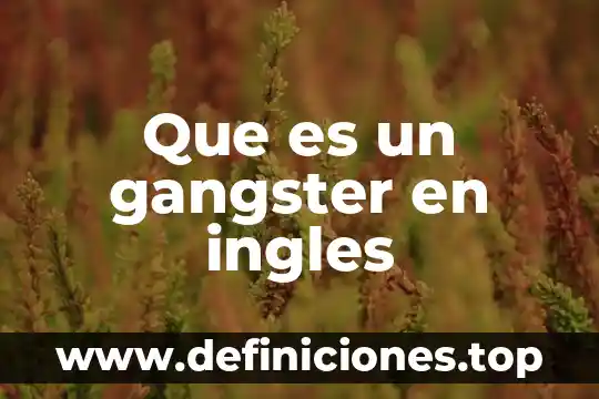 Que es duodécimo en ingles 5 Que es un gangster en ingles