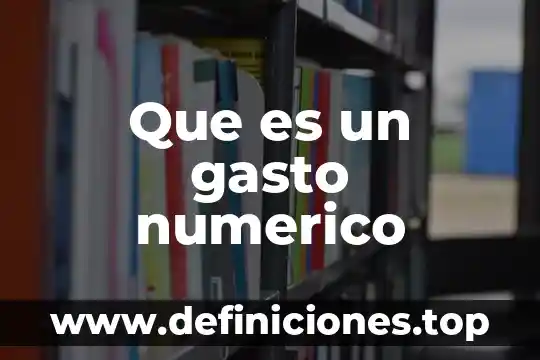 Qué es la distribución funcional del gasto 6 Que es un gasto numerico