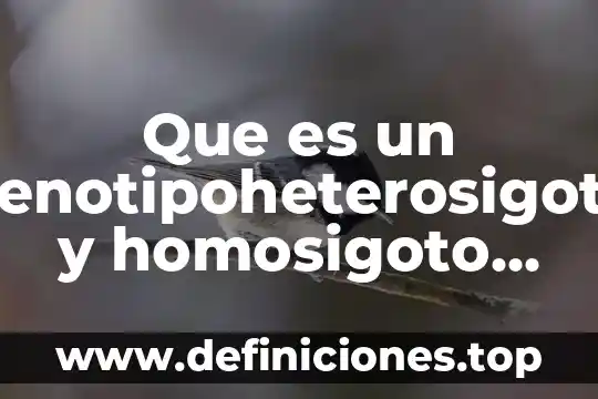 Que es un genotipoheterosigoto y homosigoto con ejemplos