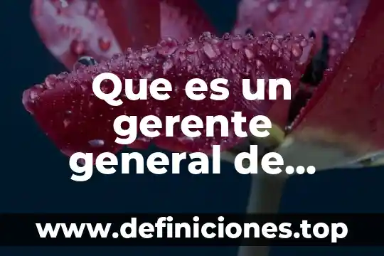 Que es un gerente general de tienda i abarrotessanchez