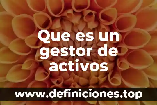 Qué es un gestor de proyectos 3 Que es un gestor de activos