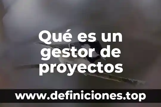 Explique que es un gestor de autorizaci贸n e integridad 8 Qu茅 es un gestor de proyectos