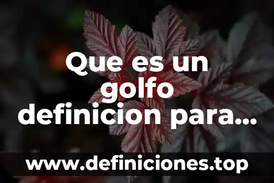 Que es un golfo definicion para niños