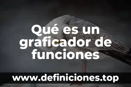 Qué es química su historia y funciones 4 Qué es un graficador de funciones