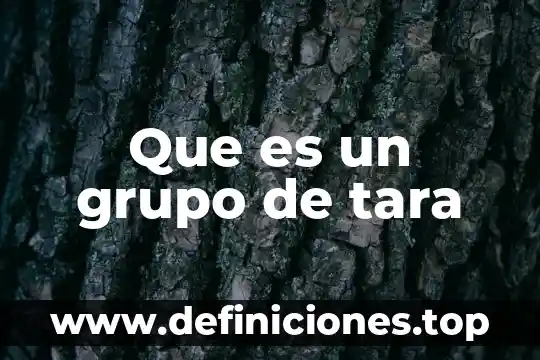 Que es el grupo eslavo 6 Que es un grupo de tara