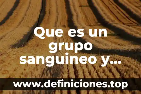 Que es un grupo sanguineo y cuantos hay