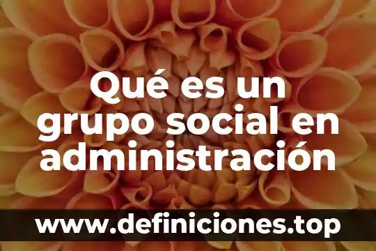Qué es un grupo social en administración