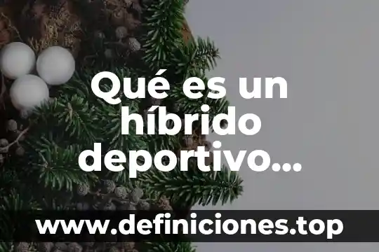 Qué es número de clase definición 5 Qué es un híbrido deportivo definición