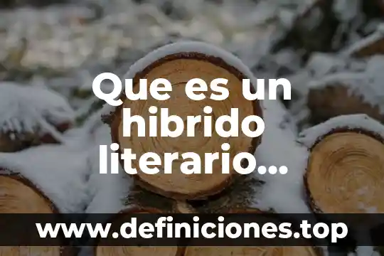 Que es el objeto circunstancial ejemplos 5 Que es un hibrido literario ejemplos