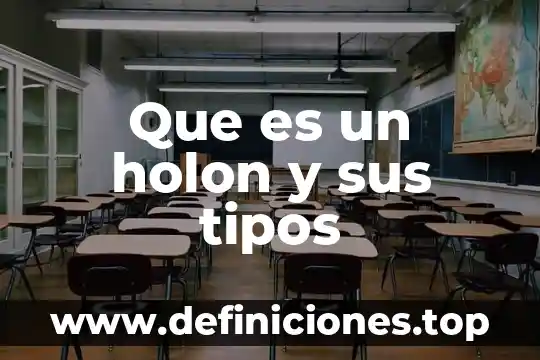 Qué es esquizofrenia y sus tipos 8 Que es un holon y sus tipos