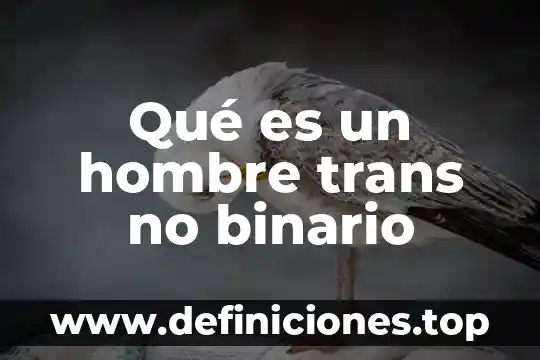 Que es un binario en informatica 4 Qué es un hombre trans no binario