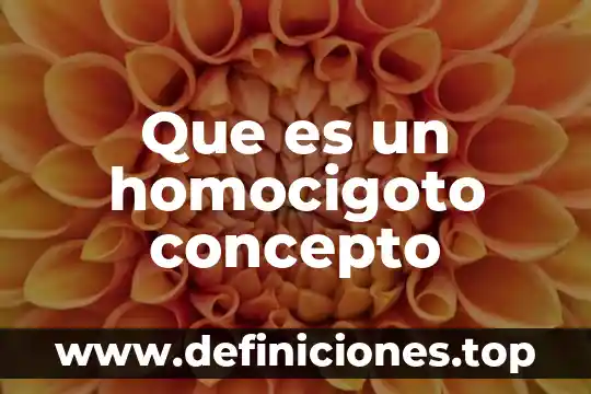 Que es un homocigoto concepto
