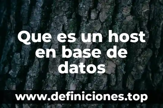 Que es un host en base de datos