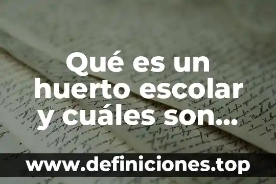 Qué es un huerto escolar y cuáles son sus beneficios