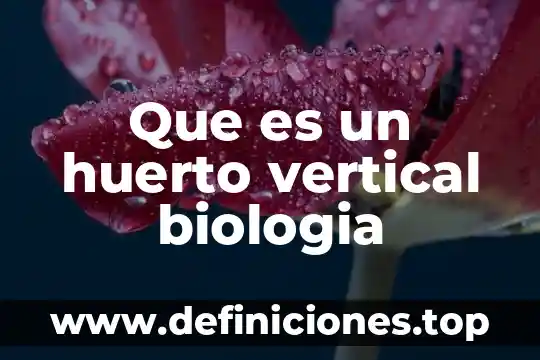 Que es un analisis vertical 8 Que es un huerto vertical biologia