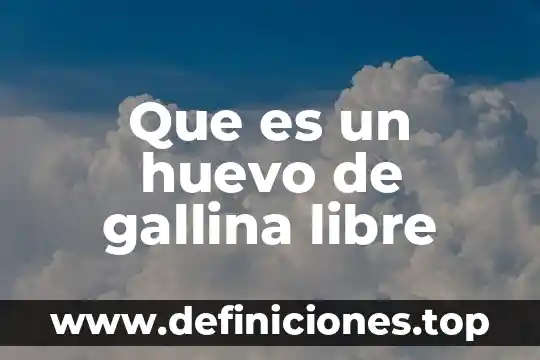Que es la lucha libre 7 Que es un huevo de gallina libre