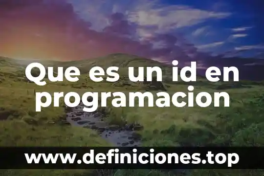 Que es un id en programacion