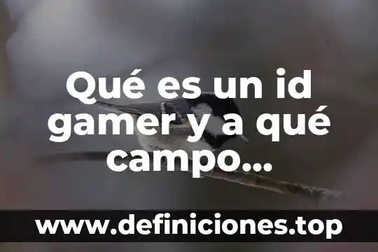Qué es un id gamer y a qué campo pertenece